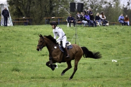 radolfzell-2017_cic1-012-jpg