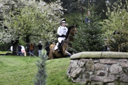 radolfzell-2017_cic1-023-jpg