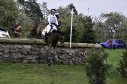 radolfzell-2017_cic1-024-jpg