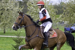 radolfzell-2017_cic1-028-jpg
