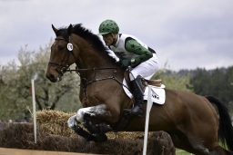 radolfzell-2017_cic1-031-jpg