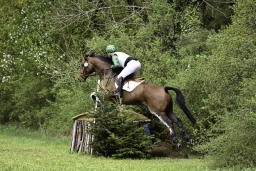 radolfzell-2017_cic1-033-jpg