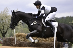radolfzell-2017_cic1-038-jpg
