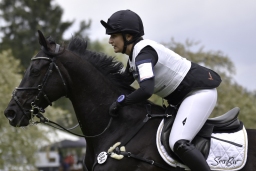 radolfzell-2017_cic1-039-jpg