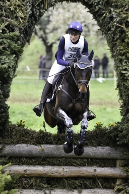 radolfzell-2017_cic1-042-jpg