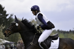 radolfzell-2017_cic1-044-jpg