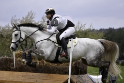 radolfzell-2017_cic1-049-jpg