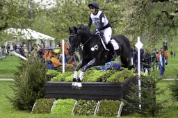 radolfzell-2017_cic1-050-jpg