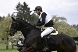 radolfzell-2017_cic1-056-jpg