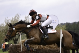 radolfzell-2017_cic1-067-jpg