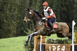 radolfzell-2017_cic1-072-jpg
