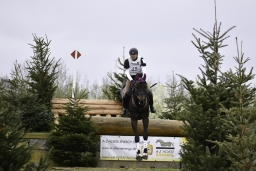 radolfzell-2017_cic1-076-jpg