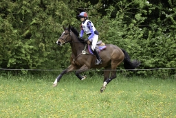 radolfzell-2017_cic1-079-jpg