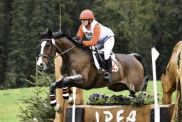 radolfzell-2017_cic1-097