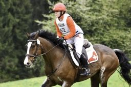 radolfzell-2017_cic1-098