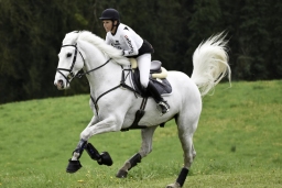 radolfzell-2017_cic1-101