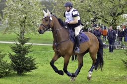 radolfzell-2017_cic1-116