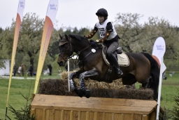 radolfzell-2017_cic1-118
