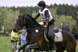 radolfzell-2017_cic1-119
