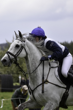 radolfzell-2017_cic1-124
