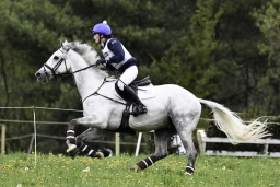radolfzell-2017_cic1-137