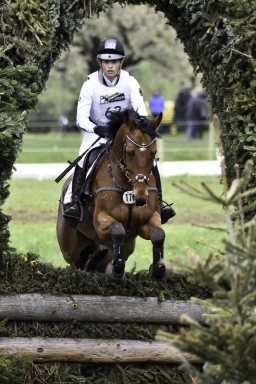 radolfzell-2017_cic1-138