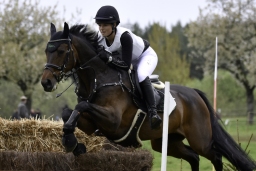 radolfzell-2017_cic1-152
