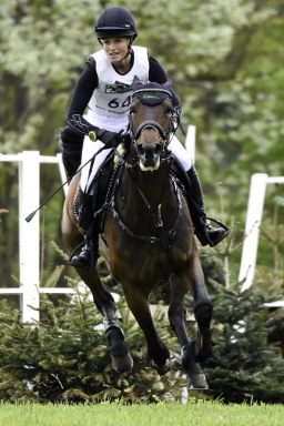 radolfzell-2017_cic1-157