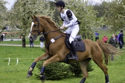 radolfzell-2017_cic1-168