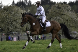 radolfzell-2017_cic1-197