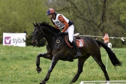 radolfzell-2017_cic1-203