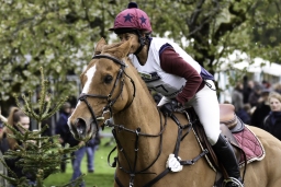 radolfzell-2017_cic1-205