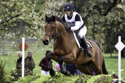 radolfzell-2017_cic1-208
