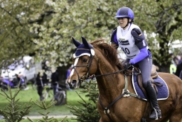 radolfzell-2017_cic1-215