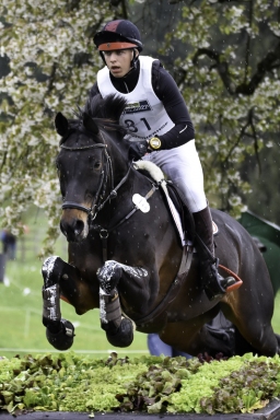 radolfzell-2017_cic1-216