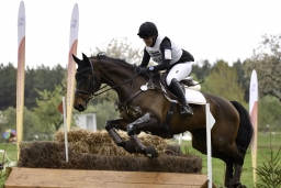 radolfzell-2017_cic1-227