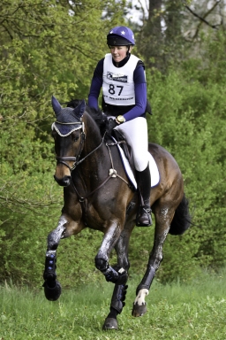 radolfzell-2017_cic1-233