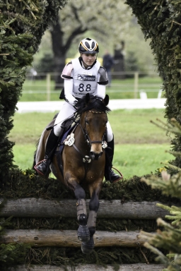 radolfzell-2017_cic1-234