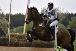 radolfzell-2017_cic1-235