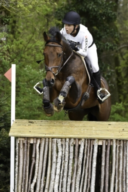 radolfzell-2017_cic1-243