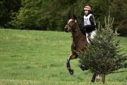 radolfzell-2017_cic1-247
