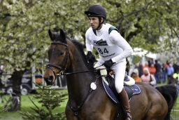 radolfzell-2017_cic1-224