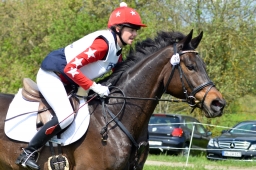 radolfzell-2014_cic1-408-jpg