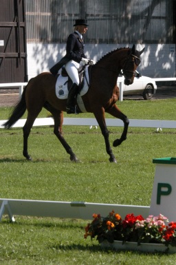 olympiasieger_schenefeld-019