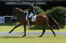 olympiasieger_schenefeld-020