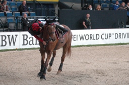 stuttgart-2012_german-masters-103-jpg
