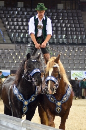 stuttgart-2014_german-masters-indoor-003-jpg