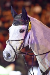 schleyerhalle-2015_german-masters-193