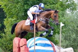 schwaiganger-2013_cic1-029-jpg