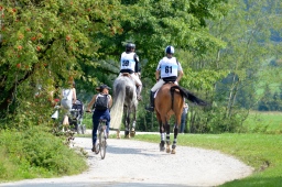schwaiganger-2013_cic2-002-jpg